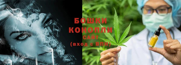 амф Вязьма