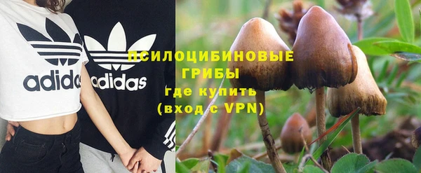 ешки Вяземский