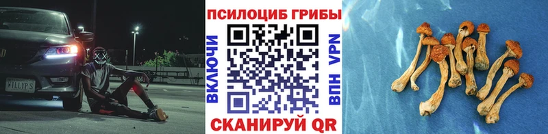 Галлюциногенные грибы GOLDEN TEACHER  Купить закладки  Яранск 
